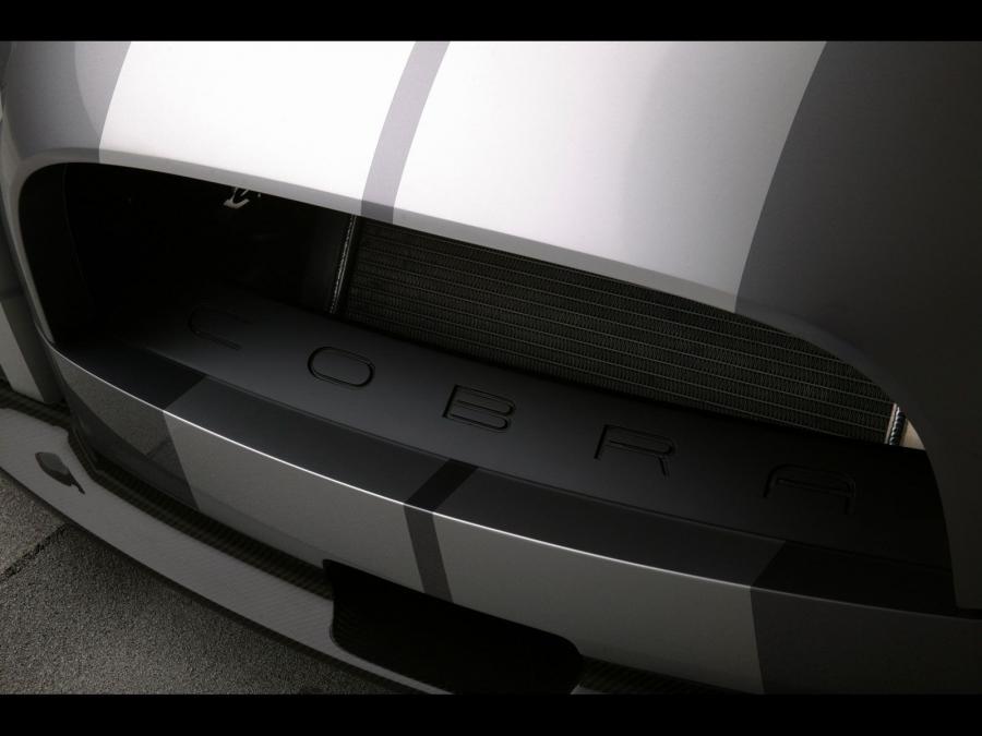 Shelby Cobra Concept 2004 года  (фото 19 из 53)